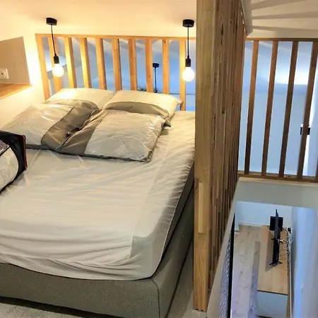Apartman Hypercentre Lamartine 505 *